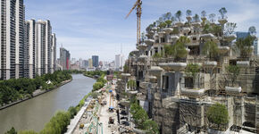 Video: drone toont voortgang van 1.000 Trees project