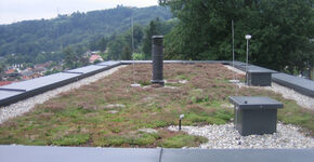 De multifunctionaliteit van daken