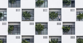 Een universiteit met een boom in iedere vensteropening