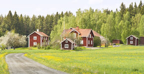 Dit nieuwe ecodorp biedt plek voor radeloze huizenzoekers in de Randstad