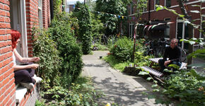 Waarom de stoep van groot belang is voor Nederland