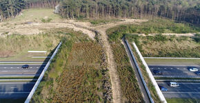 Overijssel: hogere ambitie natuurinclusief bouwen
