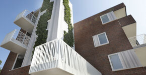 Arbeidersbuurt Nijmegen krijgt grondige groene metamorfose