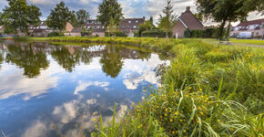 Zo belangrijk zijn Ecodorpen