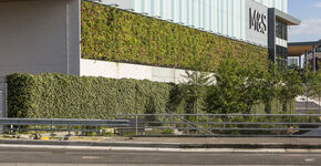 Londens winkelcentrum kleurt groen