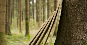 Streven naar echte duurzaamheid