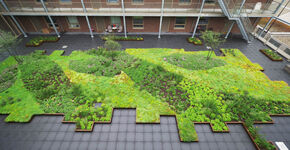 Samenwerken op het platte dak