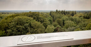 Ontwerpwedstrijd voor uitkijktoren Nieuw Delft