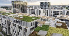 Groendaken met Triflex