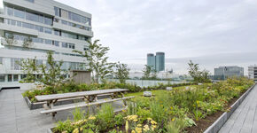 ‘Groen moet meer meegenomen worden in bouwplannen’