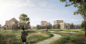 Steden dragen bij aan herstel van biodiversiteit