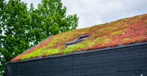 De waarde(ring) van natuurinclusief bouwen