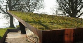 NEN-normcommissie ‘Begroeide Daken’ stelt norm op voor bouwwerkbegroeiing