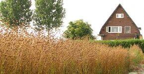 BioBased Economy-cluster op Schiphol Trade Park