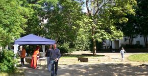 Woon je in een hofje, dan bof je!