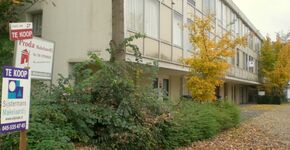 Natuurlijke wijkvernieuwing in Vrieheide