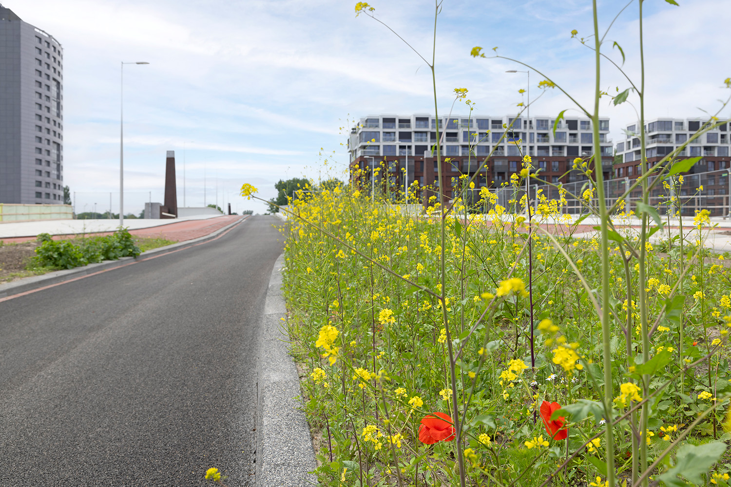 Groen Amstelstroombrug