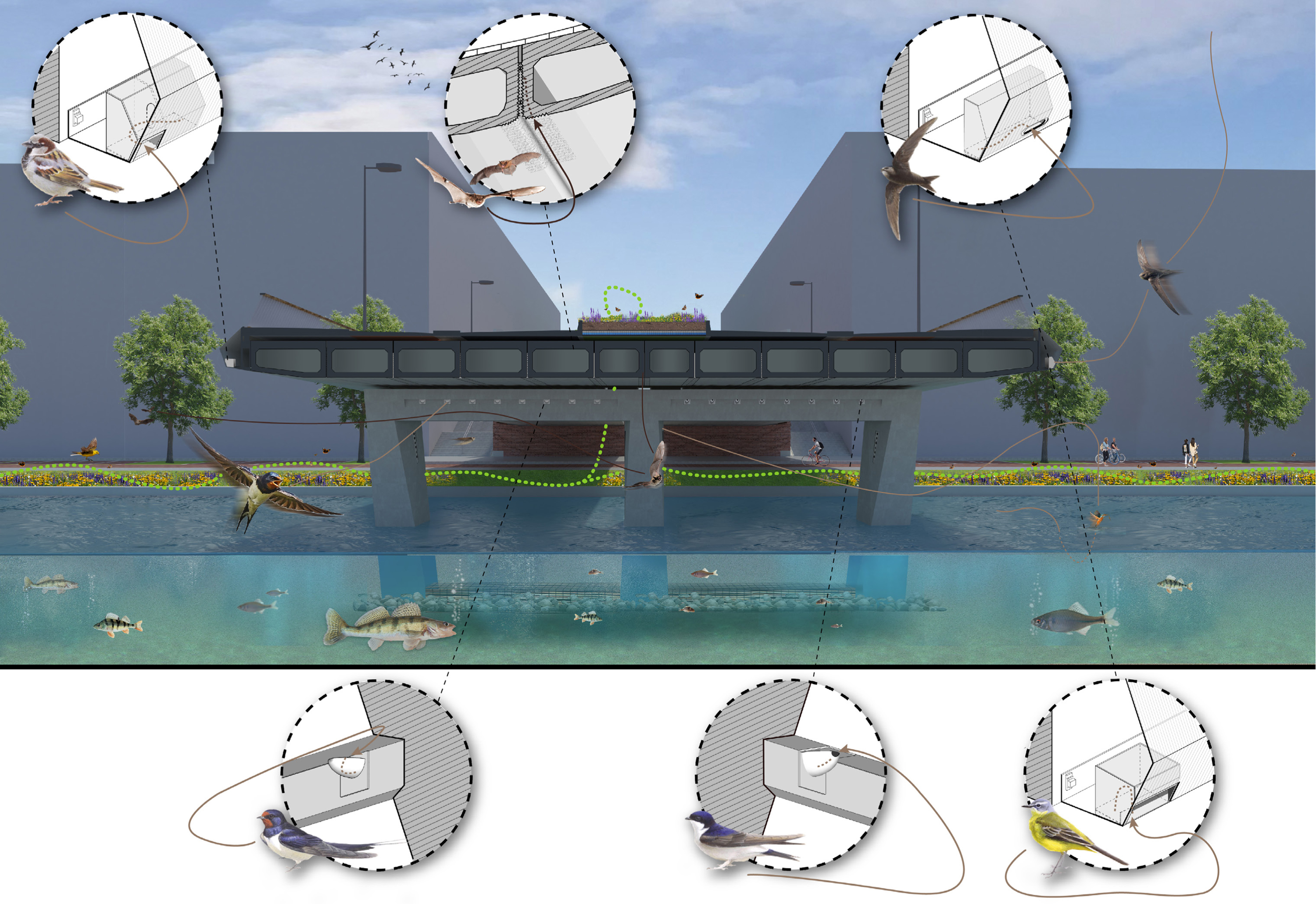 Tekening natuurinclusief Amstelstroombrug