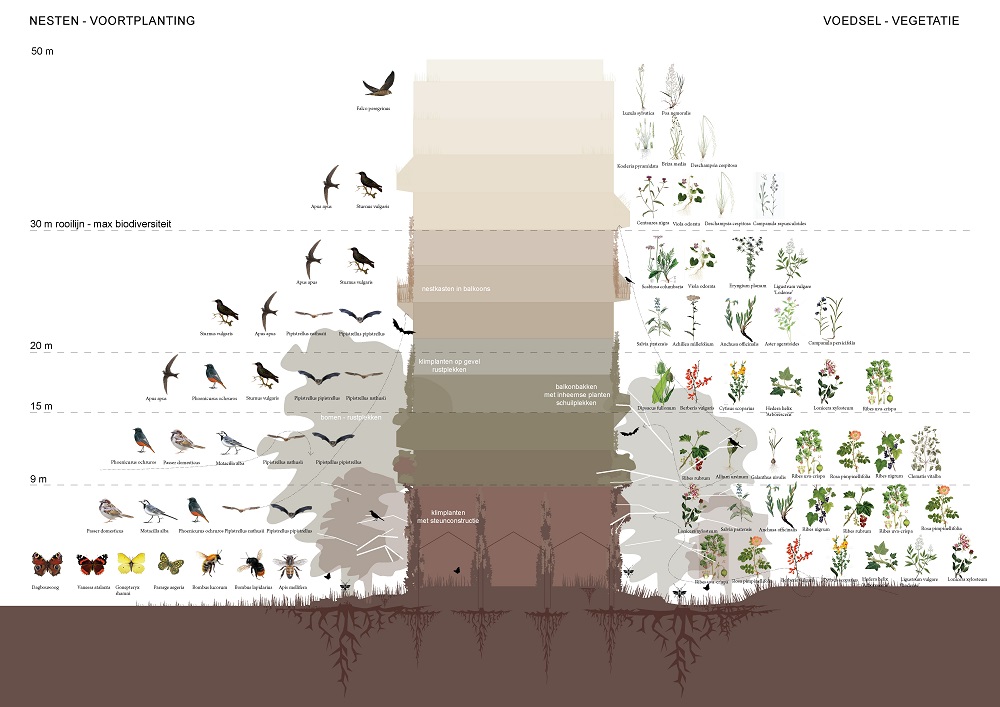 Soorten in Tic-Tac-Toe
